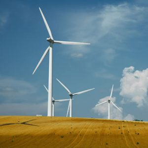 renewable energy options wind
